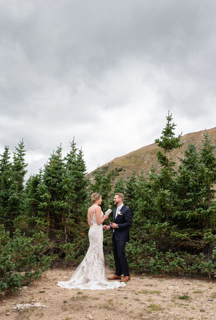 Mountain Wedding in Breckenridge